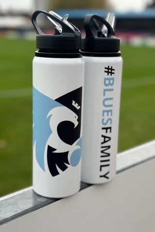 Metallic Water Bottle